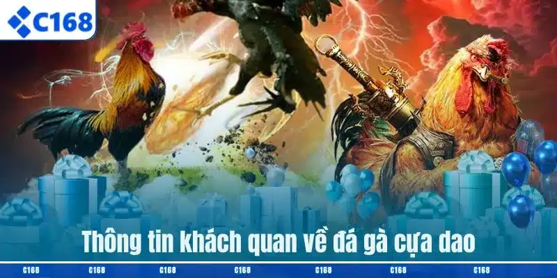 Thông tin khách quan về đá gà cựa dao